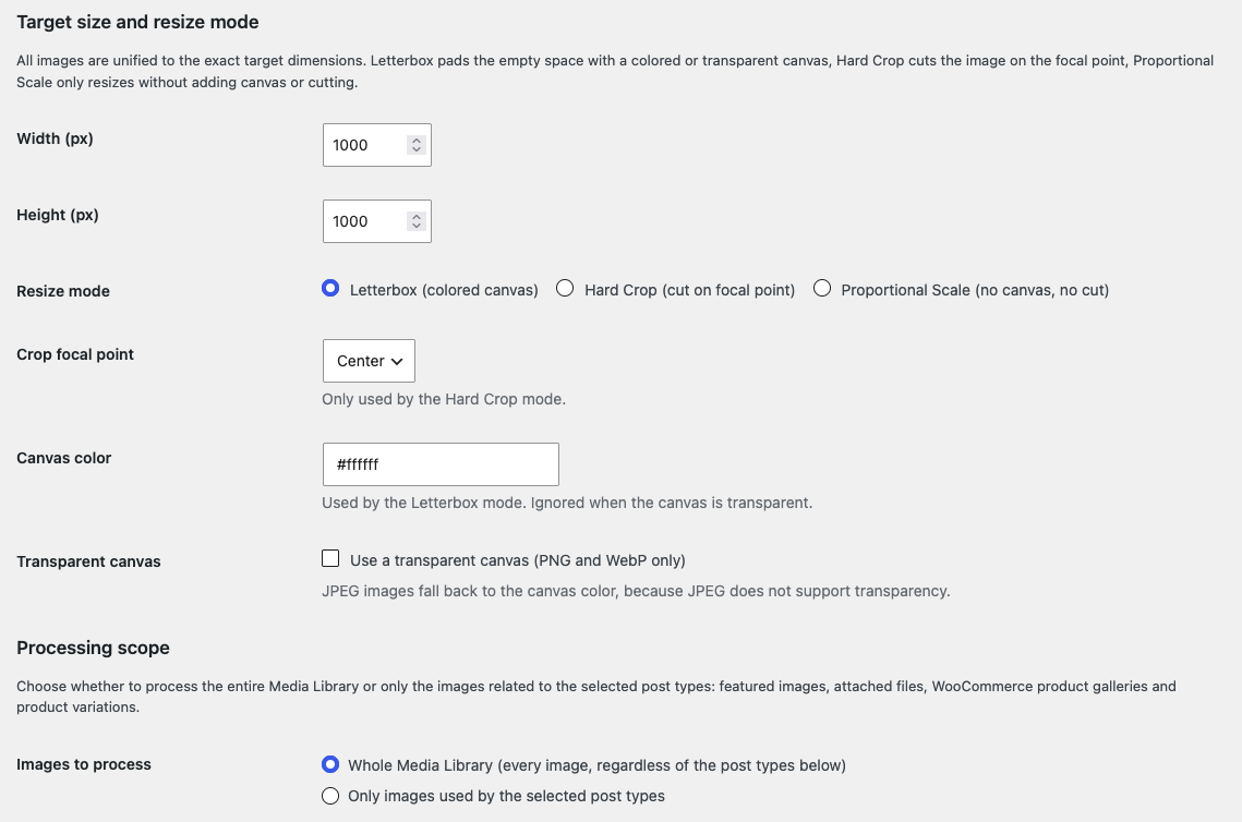 Settings: target size, resize modes, canvas color and processing scope